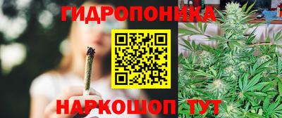 кокс Будённовск